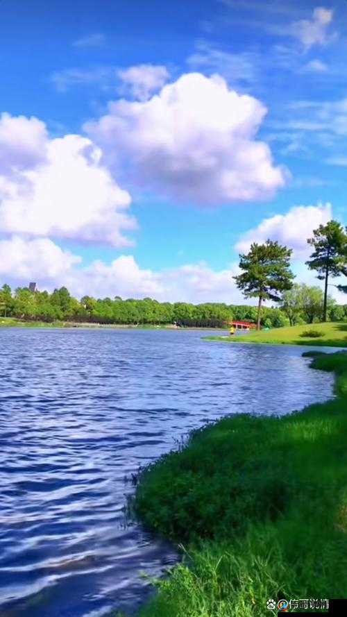 海角妈妈绿意盎然：打造充满生机与活力的美好世界