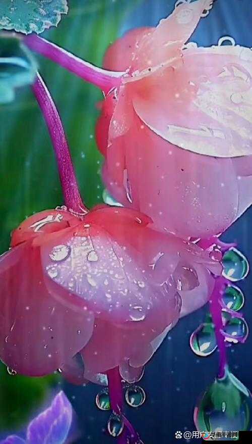 国产 HDSEX 水滴：探索中国文化的美丽与智慧