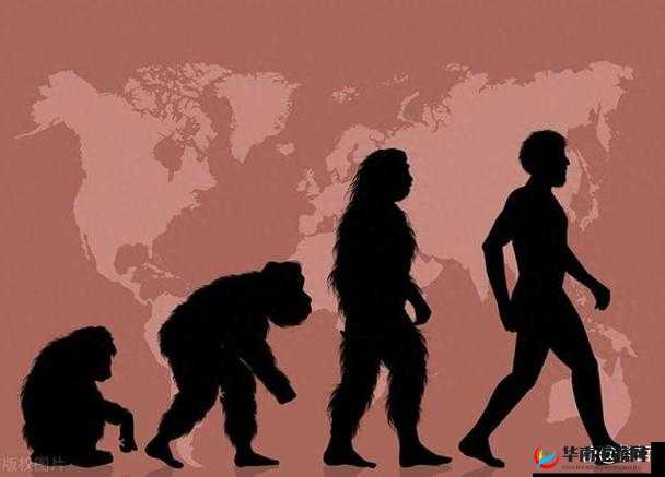 Zoom 动物人 ckc 引发热议：人类与动物的边界在哪里？