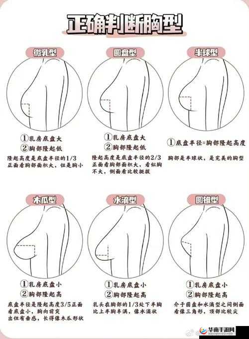 女生胸怎么变大一点:完美胸型不是梦