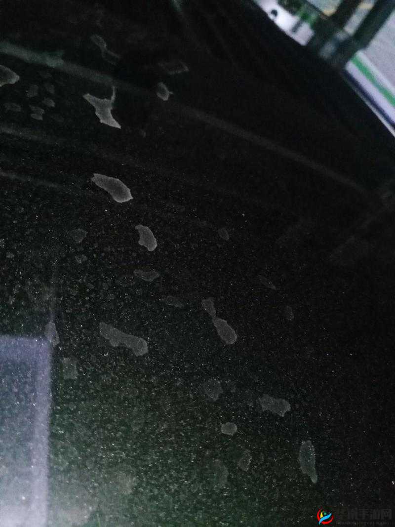 公交车上被蹭水后多久恢复：水渍清理与干燥时间探讨