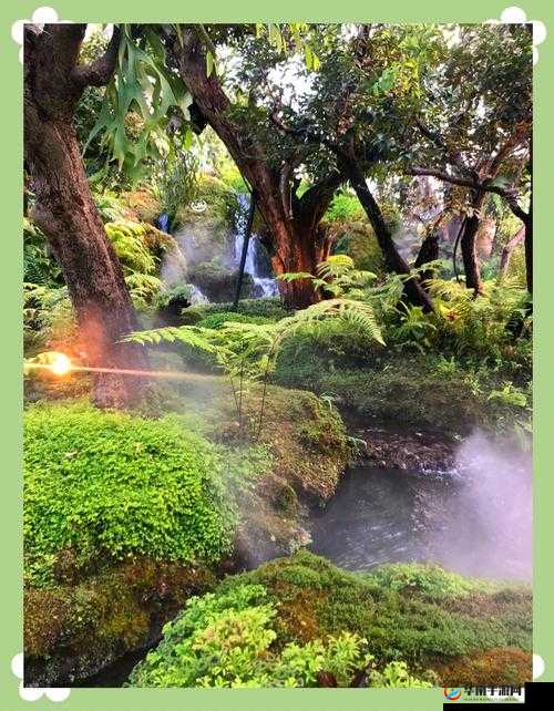 ChinaXXX 对白刺激仙踪林：一场别样的奇幻之旅