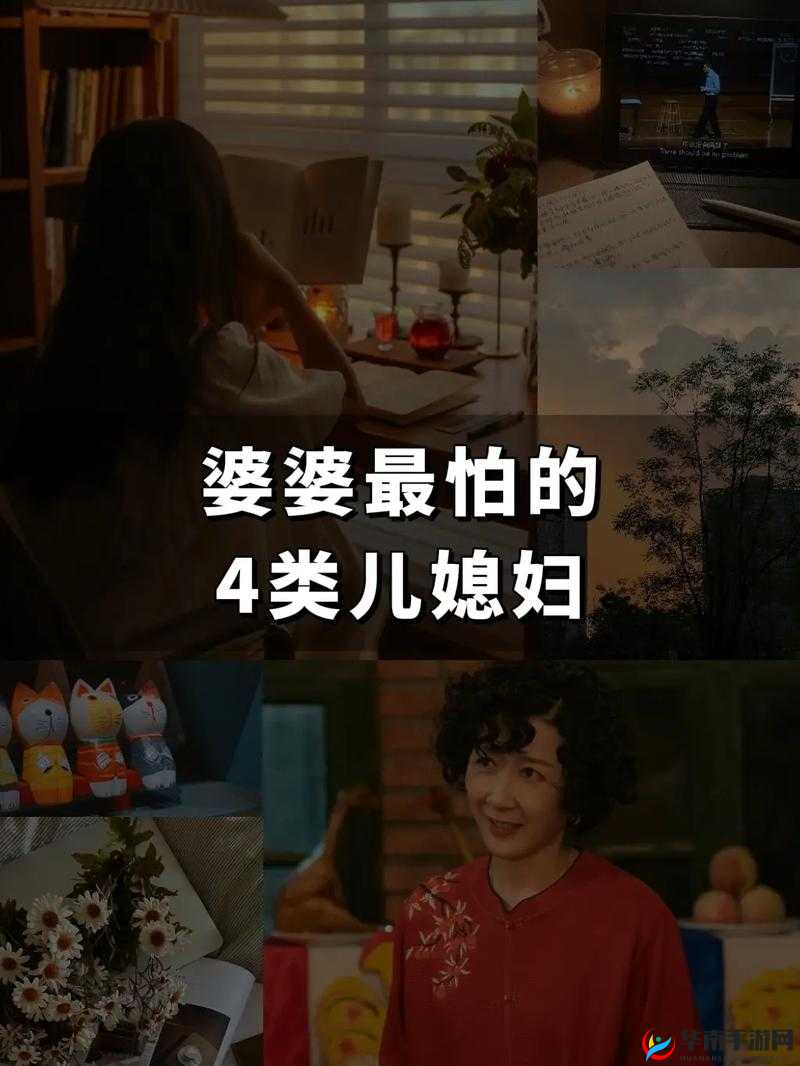 家有三个媳妇陈淑蓉婆媳关系解析之深度探讨与应对策略