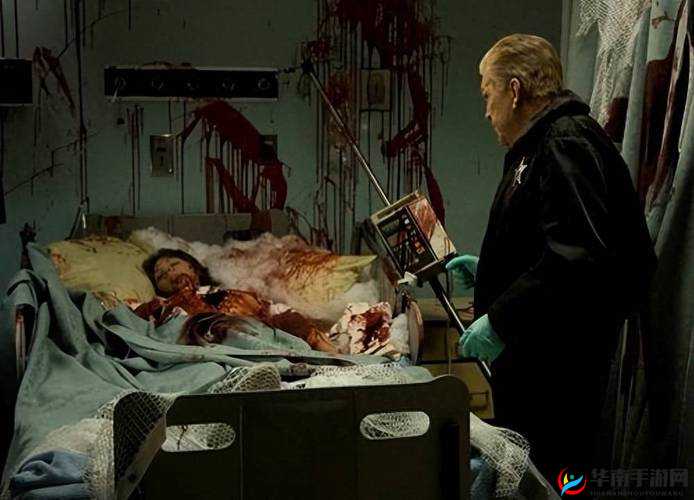 令人震惊的乱伦悲剧：xxxxxxxx 背后的伦理纠葛