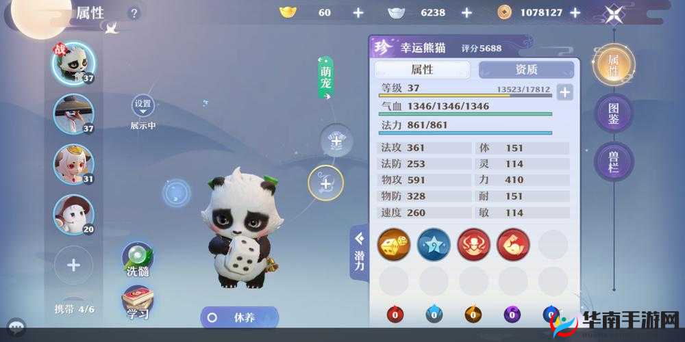 梦幻新诛仙灵宠幸运熊猫值得培养吗