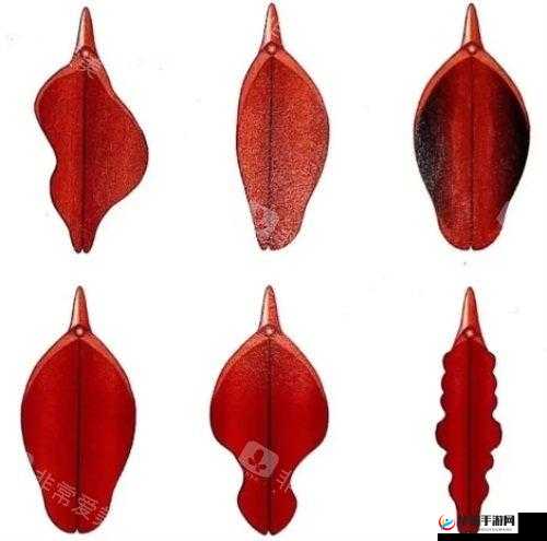 女性魅力的二十四种阴性外貌形状，你了解多少