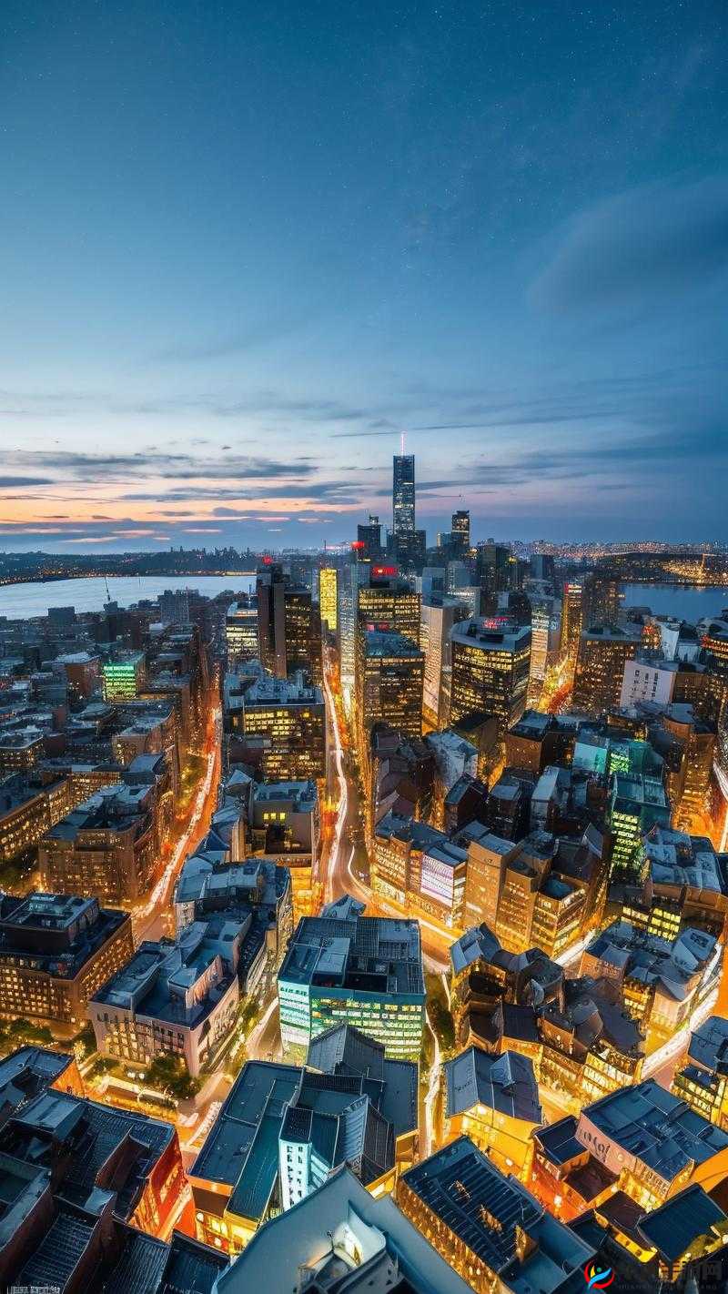 新不夜城综合首页：打造永不落幕的城市之夜