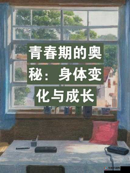 成长的秘免费:探寻成长背后的奥秘