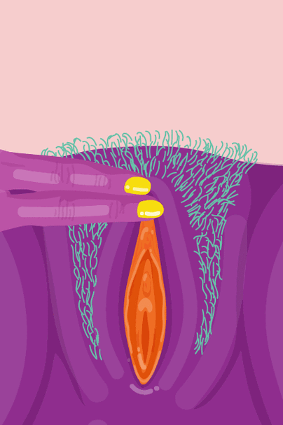 女生专属自慰软件：探索私密愉悦的独特体验