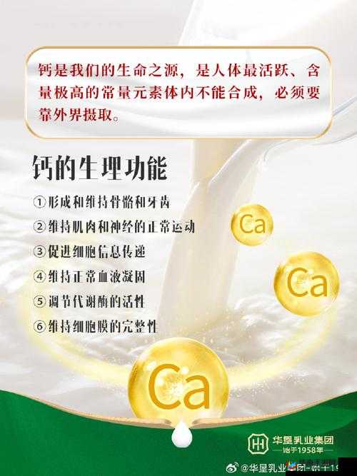 2024Gy 钙站：探索钙元素的神秘世界与无限可能