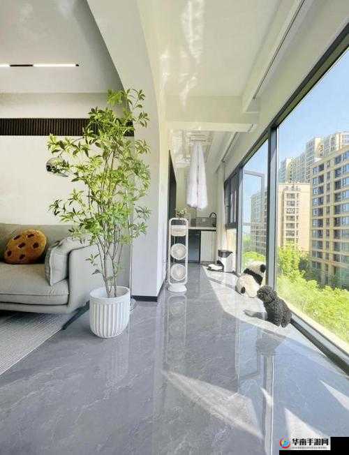 深度评测我想和你从厨房到阳台：探索家居空间的情感纽带