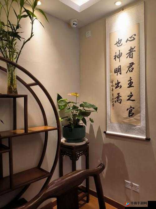 国风按摩院：传承古法技艺 舒享身心的静谧之所