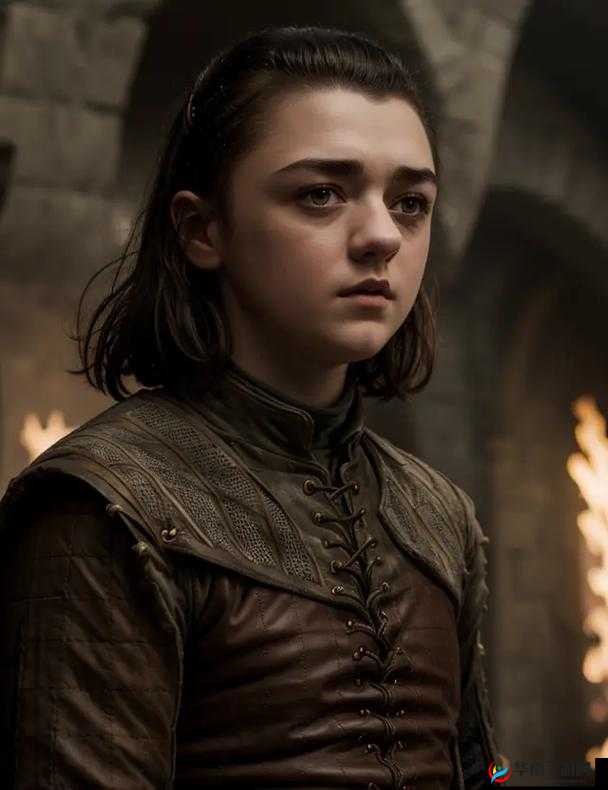 二丫坐在铁匠身上：权力的游戏