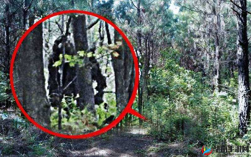 亚洲无人禁区:神秘与未知的终极挑战