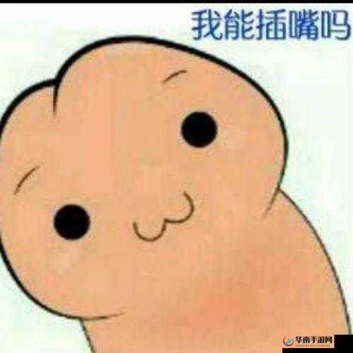 我可以插嘴吗无怎么看：深入剖析这一疑问背后的思考