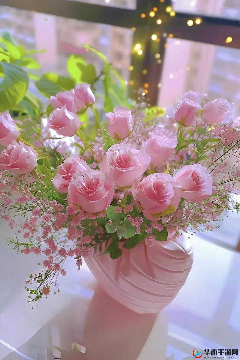 意大利满天星 A 级高品质花卉之独特魅力