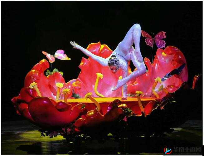 极具完整性的性杂技 XXXXX 精彩呈现