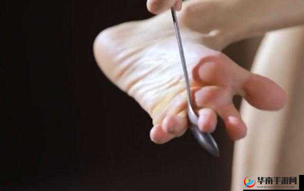 黑土腿法娴熟脚法精湛：其高超技艺令人惊叹不已