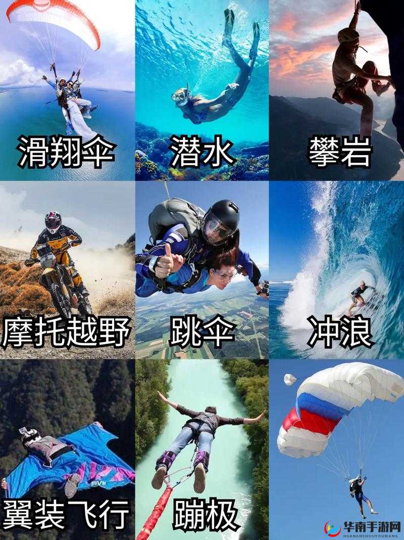 激情与挑战：探索 XXXX69 的未知领域