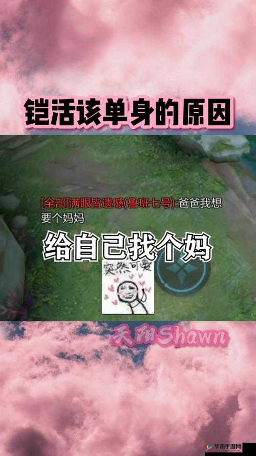 王者荣耀中的母亲节祝福英雄及其资源管理