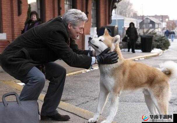 外国人物与动物交互狗 aa：跨越物种的奇妙故事