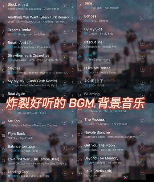 BGMBGMBGM 日本 XX :带你领略独特的音乐魅力之旅