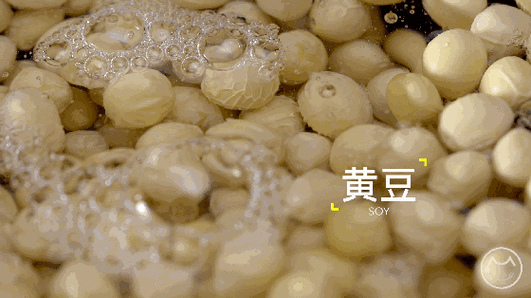 大豆行情网在线仙踪林：深度解析大豆市场动态
