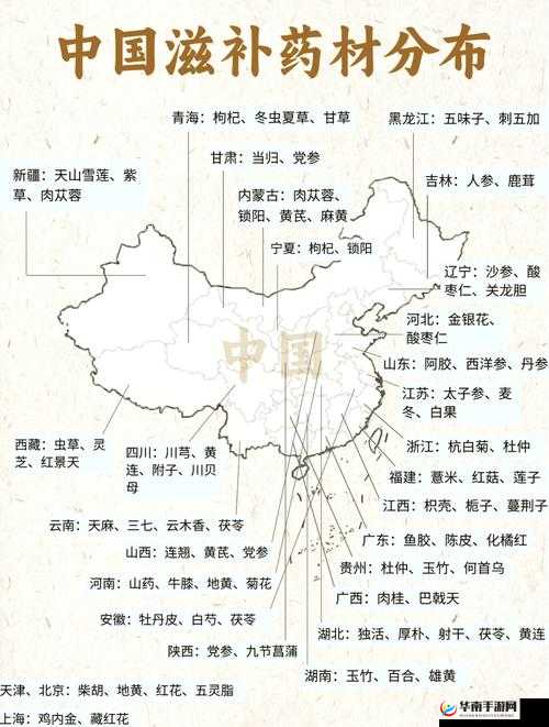 99 品一二三产区区别之奥秘与差异探讨