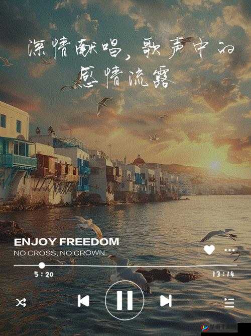 爱的内里菜の歌を教えてくださ：一起探寻歌曲中的深情与魅力