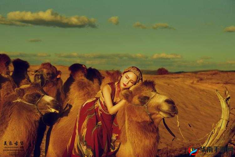 法国满天星八尺夫人菲律宾:一段神秘而迷人的传奇之旅