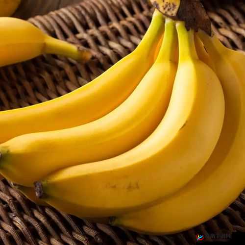 大伊煮香蕉成品网：精彩内容持续呈现