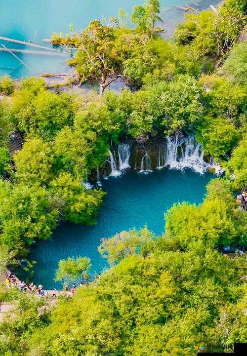 Xsmax 大片 ：领略极致视觉盛宴的震撼影像之旅