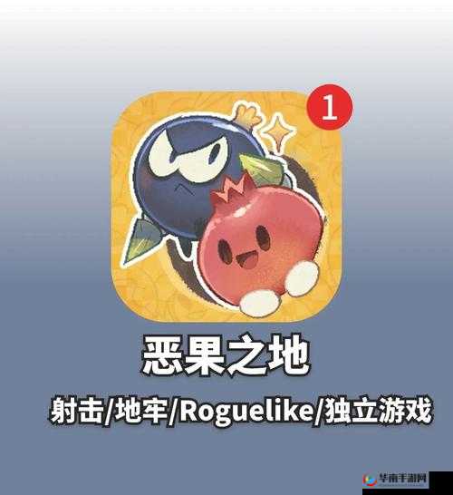 恶果之地，探索与挑战的奇妙之旅