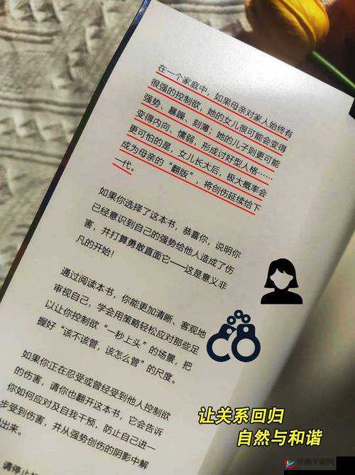 乱文合 BBBXXX ：探索其背后不为人知的秘密与真相