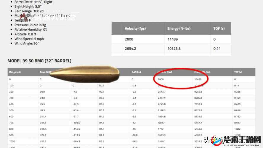 BMGBMGBMG 毛多相关话题探讨及分析
