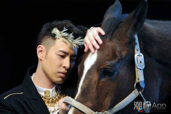 天娱传媒梦梦回家相亲引发的别样故事