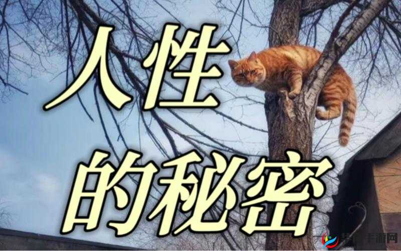 人性 g0g0 免费看：探索人性的秘密