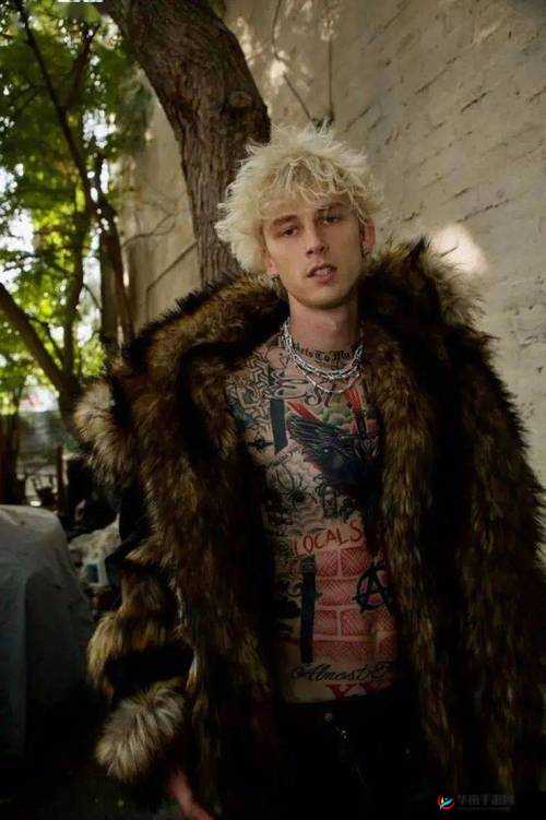 黑人双人 RAPPER 美国大豆的独特说唱魅力