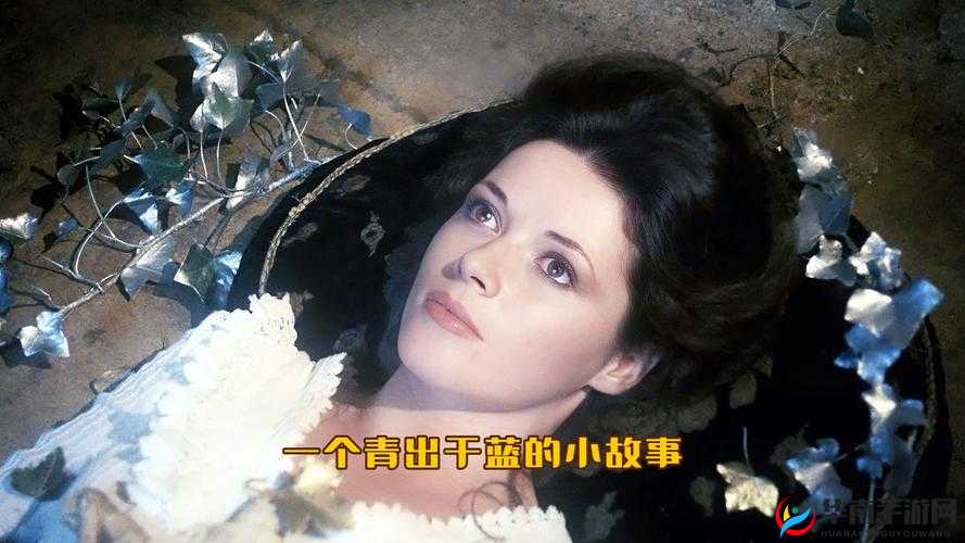 艳母：一部极具争议的经典三级片故事