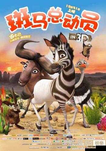 怀念青春：8090 版斑马电影高清在线观看