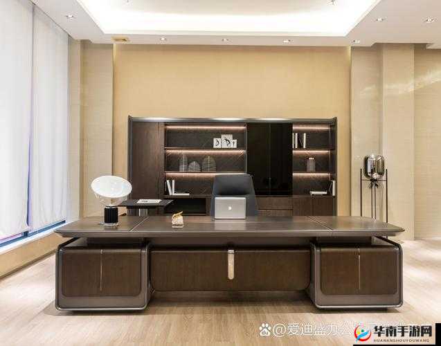 老板的办公桌中字以及其背后蕴含的深刻意义与作用