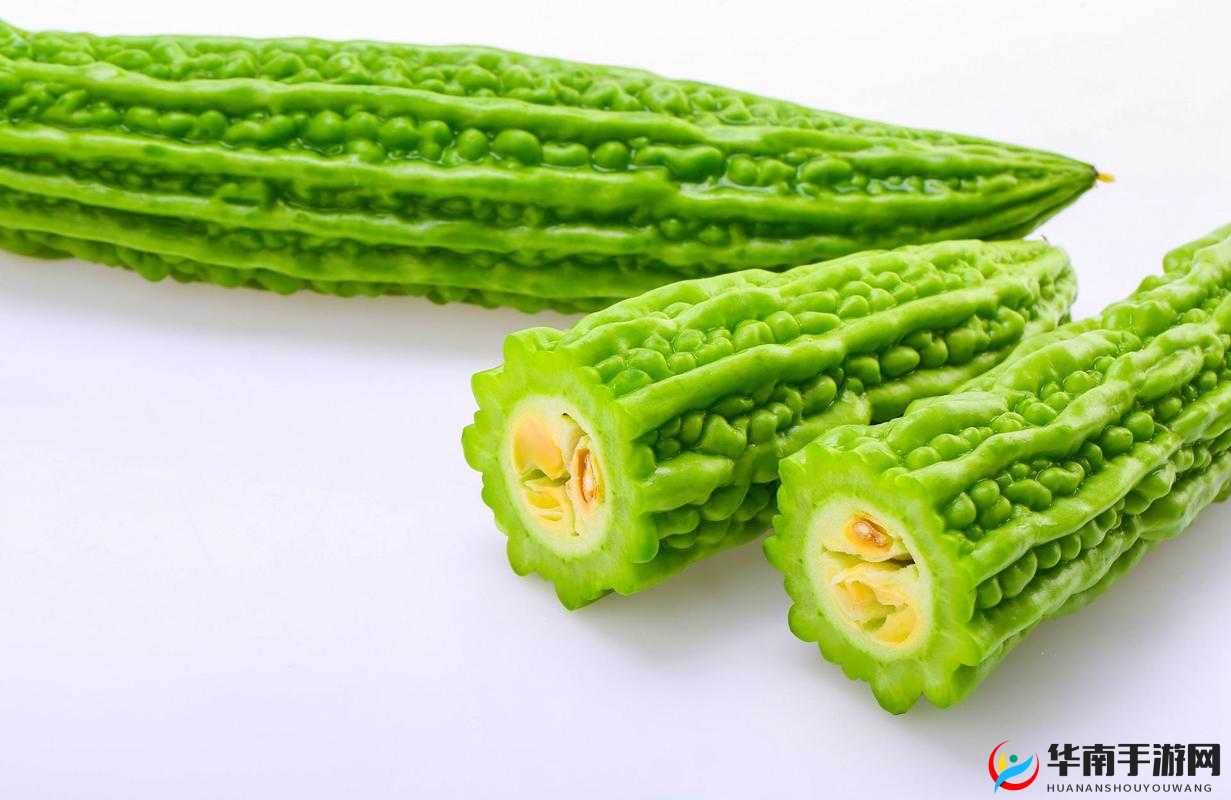 1313 苦瓜网伦理相关内容引发广泛关注与探讨