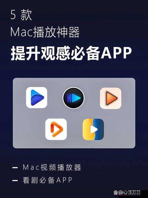 适合年轻人看的播放器:功能强大资源丰富且界面简洁易用