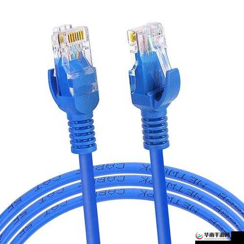 精品成品网线 1688 ：高品质网线的优质之选