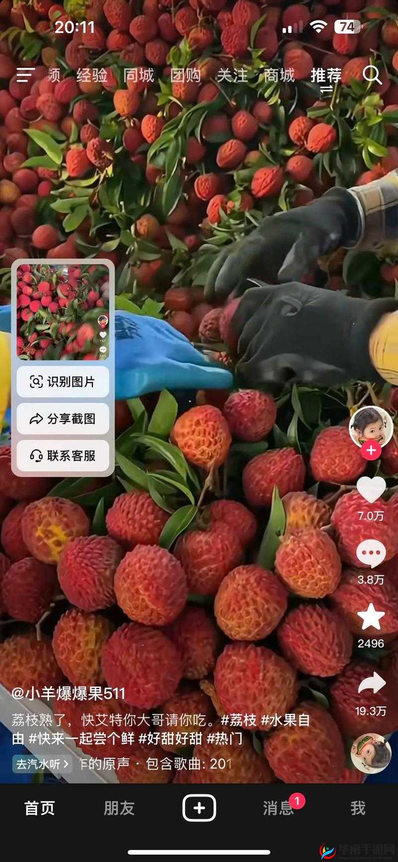 甜甜的荔枝:含糖 BY 荔枝 11H 的甜蜜之旅