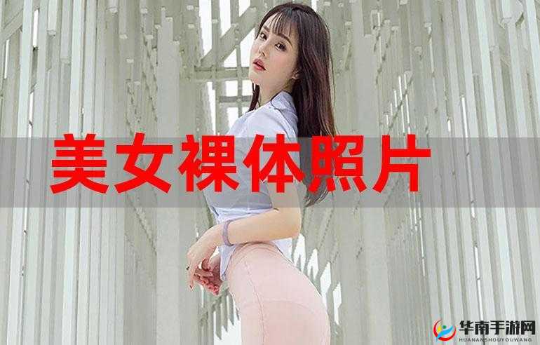 麻豆美女裸体 AAAA 片:探索身体的艺术与美丽