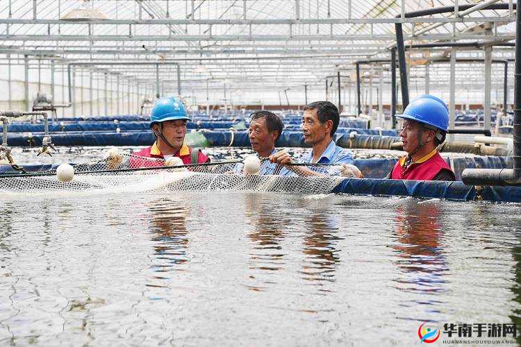 物业电工老赵与刘梦刘香的日常：电力维修中的欢笑与感动