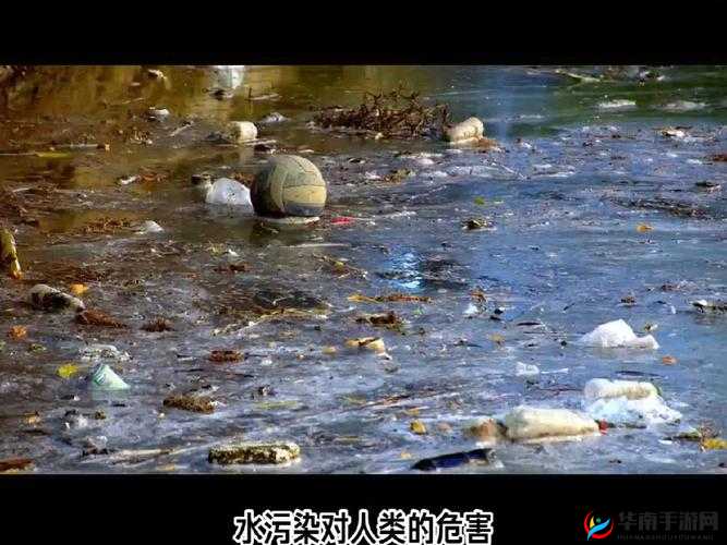 美逼水污污污：揭示水污染的真相