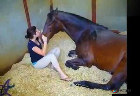 人与兽 XXXX：探讨人与自然和谐共处的关系及意义