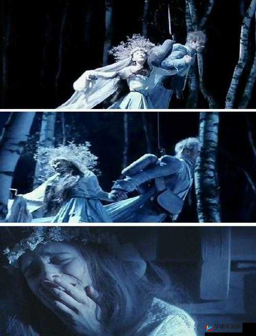 野花日本韩国免费视频 7：独特视角下的别样精彩呈现